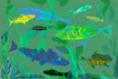 sevenfishes