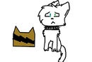 my-warrior-cat