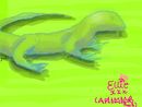 lizzard