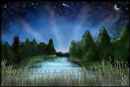 wild-sky