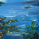 calm-water
