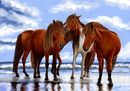 horses