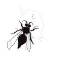 wasp-mutant