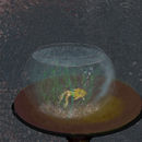 forever-blowing-bubble