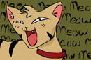 meow-meow