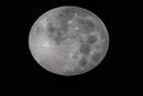 the-moon the-moon