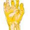 hand by soeren