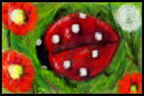 animated-ladybug