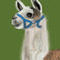 lama by Erny