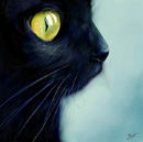 blackat blackat