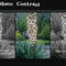 green--mono-contrast by wungu