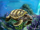 sea-turtle