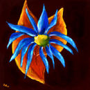 two-leaves-and-a-blue-