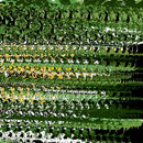 3d-stereogram