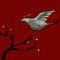 ice-dove by crisco