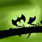 ant-and-art by hakan