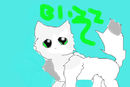 blizz