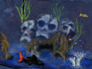 aquarium