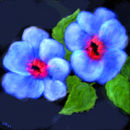 two-blues two-blues