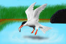 flying-bird