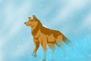 toboe