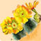 kaktus-flowers-after-g by ploiesteana