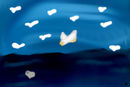 seagulls-at-lunch-time