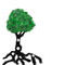 tree by Novack