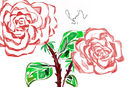 rose