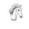 horse-head by animalsrock