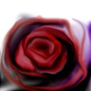 untitled-2