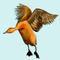 fly by atri
