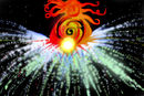 celestial-propagation-