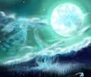 -claire-de-lune-