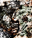 mind-construction