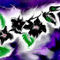 flower by jessejames