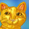 cat-2 by animllover4569