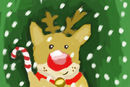 baby-rudolf