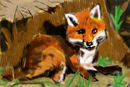 little-fox