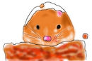 my-hamster-biscuit