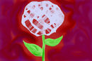 skeletal-petals