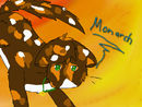 monarch-contest monarch-contest