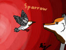 sparrow