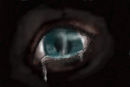 eye