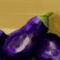 eggplant by sketchpad