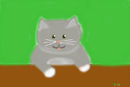 little-kitten