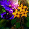 spring-morning by gabyconstanza