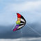 a-kite by Erny