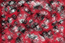 crazzy-spider-web