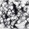 spiderwebs by luv2draw2112